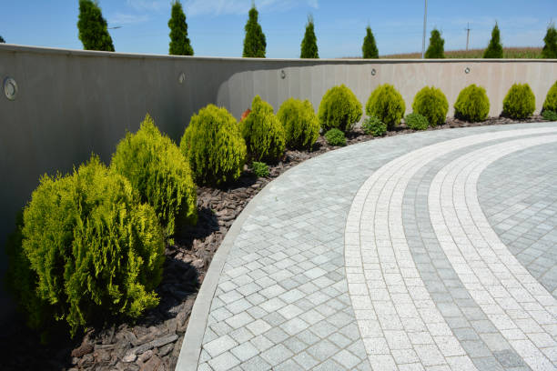 Best Decorative Driveway Pavers  in Lake Bryan, TX